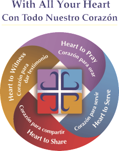 CTNC_Logo_web